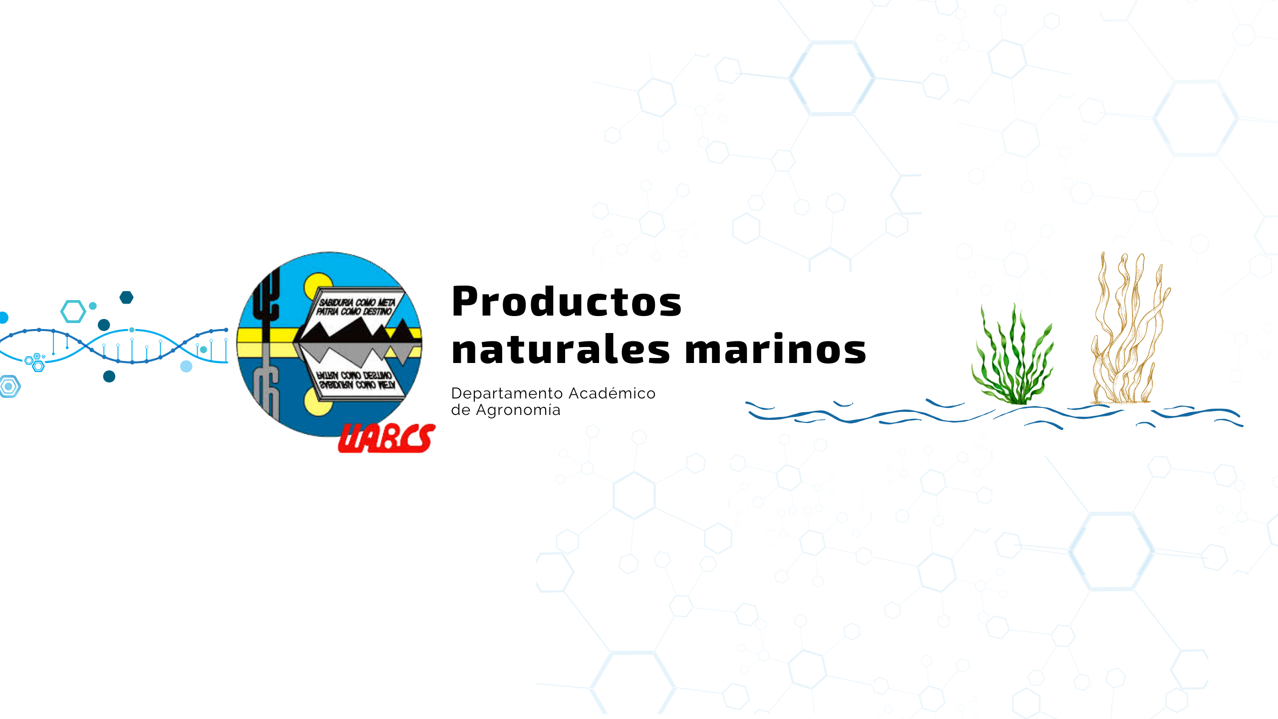 Course Image Productos naturales marinos 