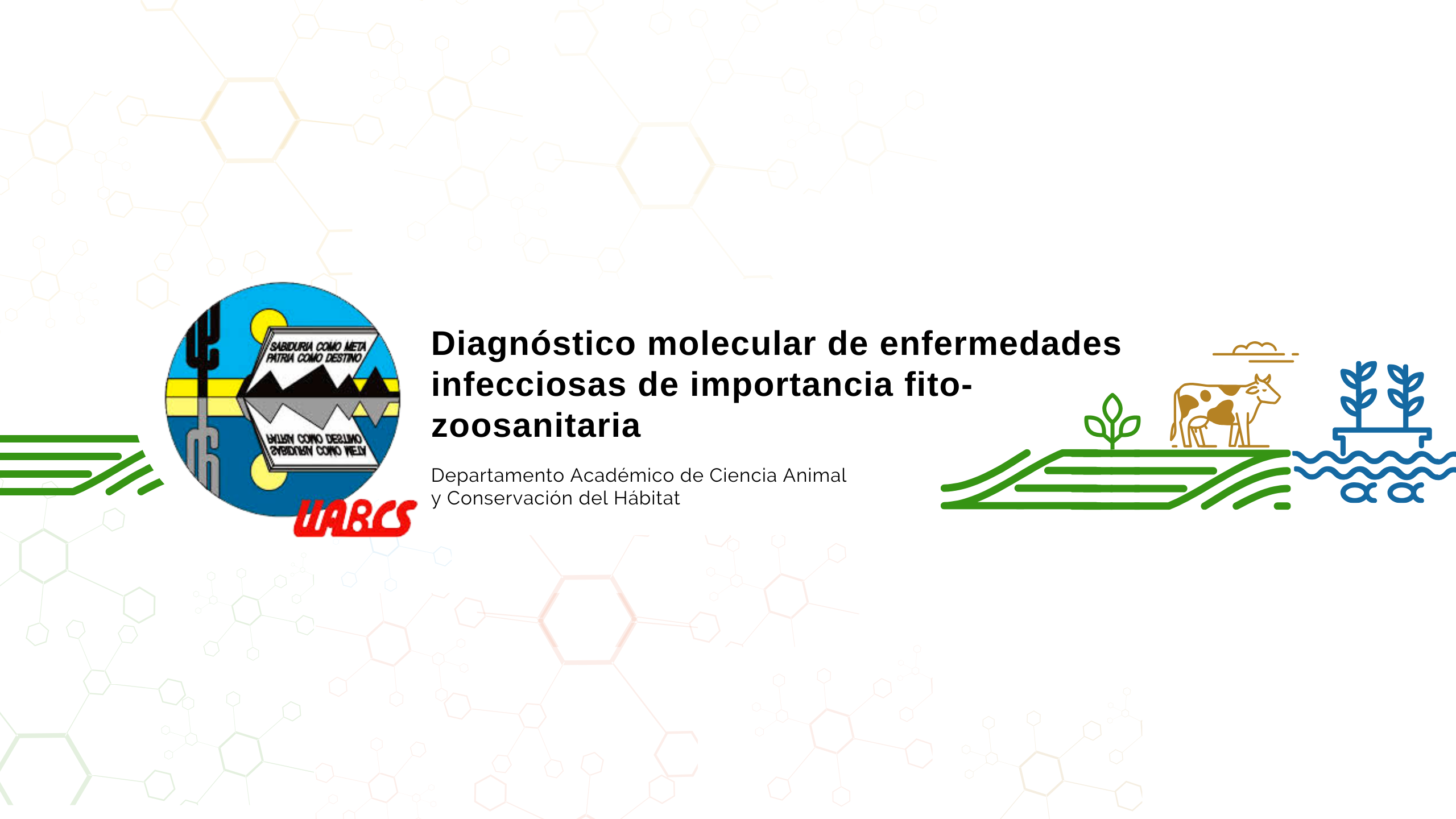 Course Image Diagnóstico Molecular de Enfermedades Infecciosas de Importancia Fito-Zoosanitaria